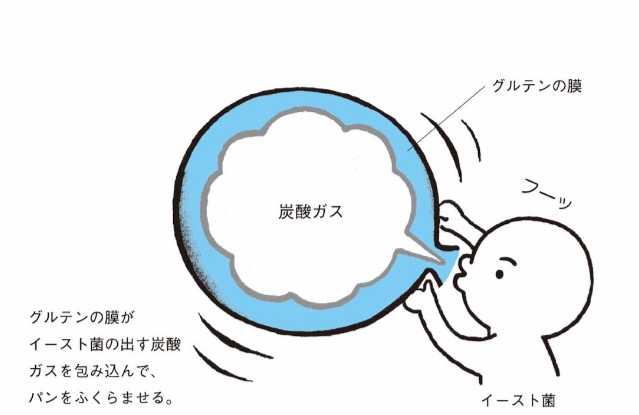 画像の説明