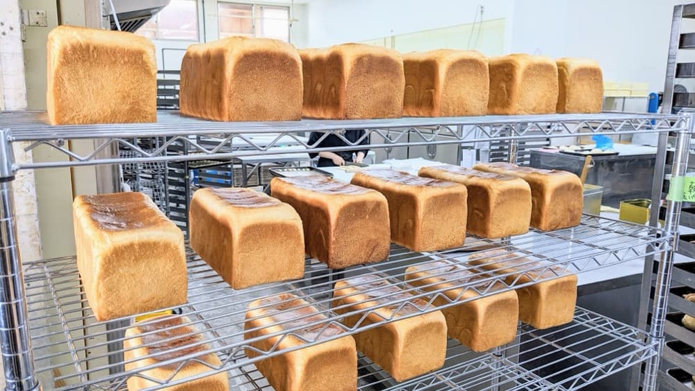 トントンの国産小麦への情熱：おいしさの秘密と農家への想い