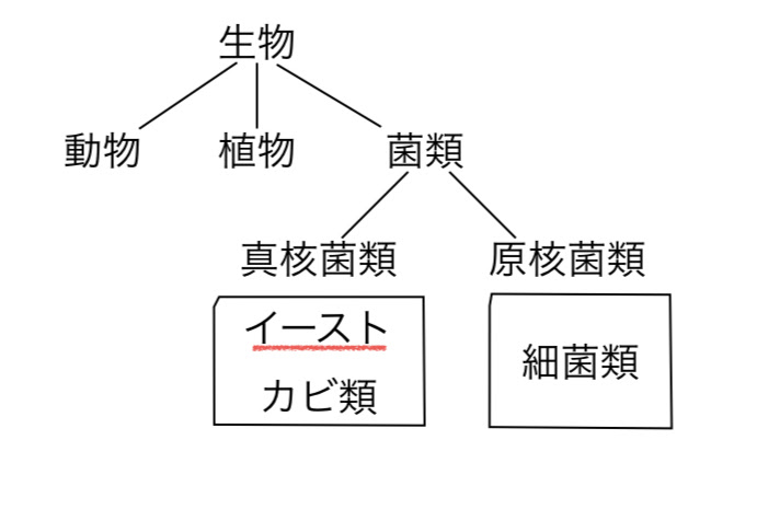 HP＆BLOG用